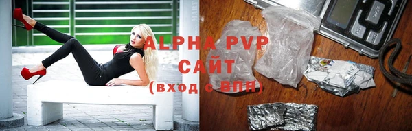 индика Волосово