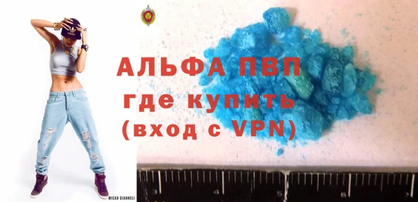 индика Волосово