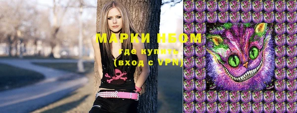 индика Волосово
