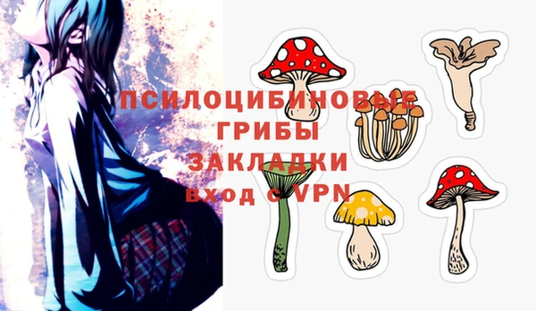 индика Волосово