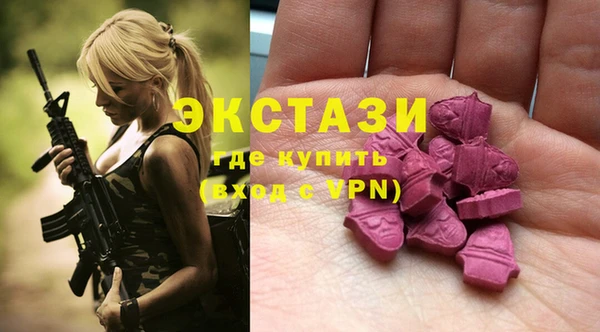индика Волосово