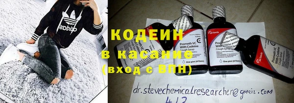 индика Волосово